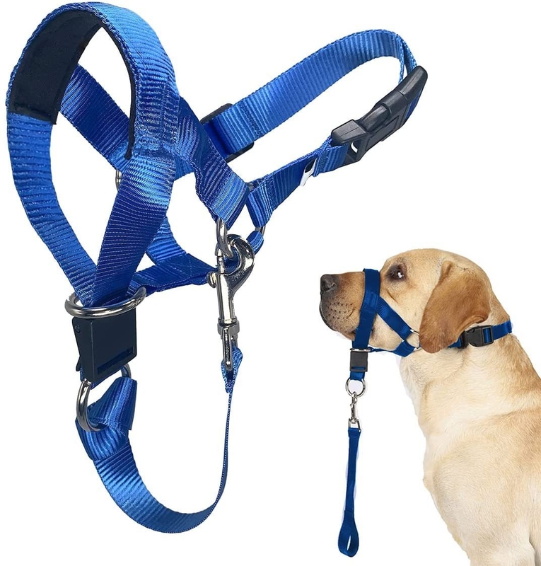 Dog Head Collar No Pull Training Tool For Dogs On Walks Includes Free ...