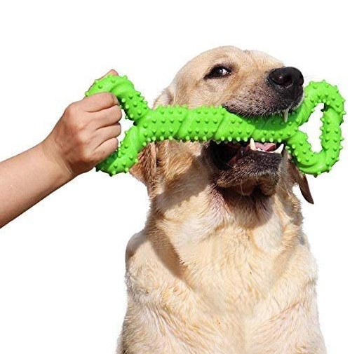 Best Rubber Chew Toys For Dogs Heavy Aggressive Chewers Tooth Cleaning