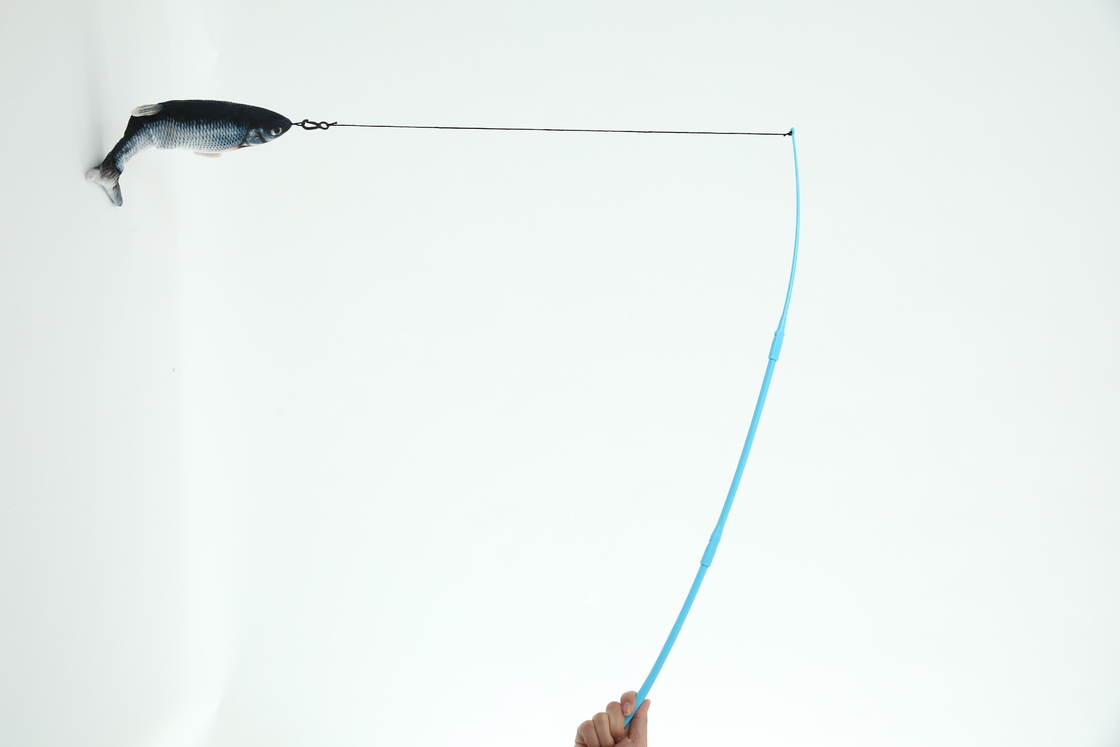 Amazon Fishing Rod Remote Control Electric Fish Teasing Cat Simulation Fish Jumping Fish Jumping Cat Toy Fishing Toy