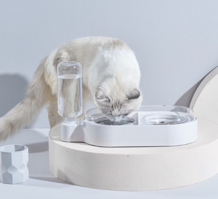 Ceramic Pet Feeder Bowls Set 15 Degree Tilted Platform For Water Food