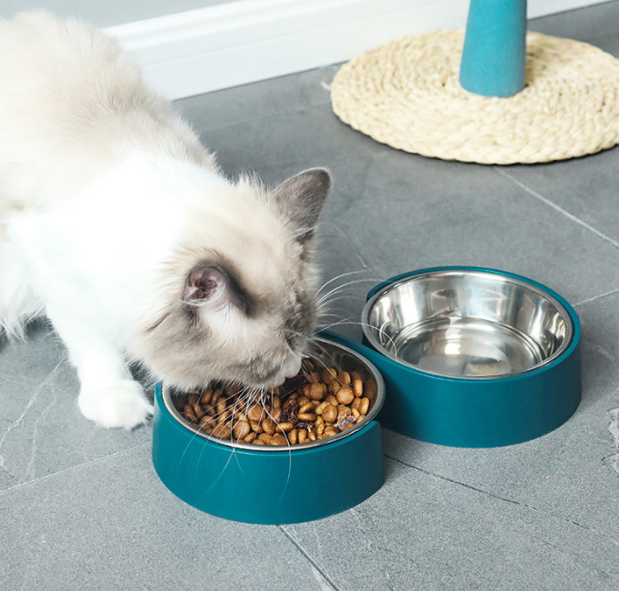 Stainless Steel Double Pet Feeder Bowls With Non Slip Bottom