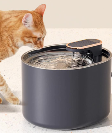 2 Stainless Steel Raised Dog Bowl Automatic Water Feeder