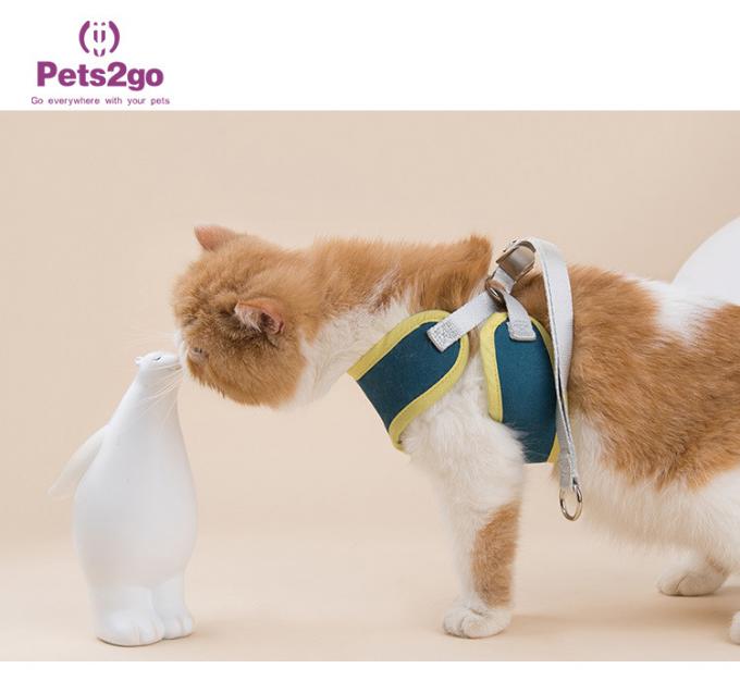 Fruit Color 100g Stocked Custom Dog Shirts Pets Wearing Clothes